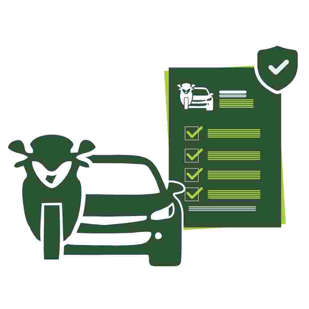 Vehicle verification Punjab online check